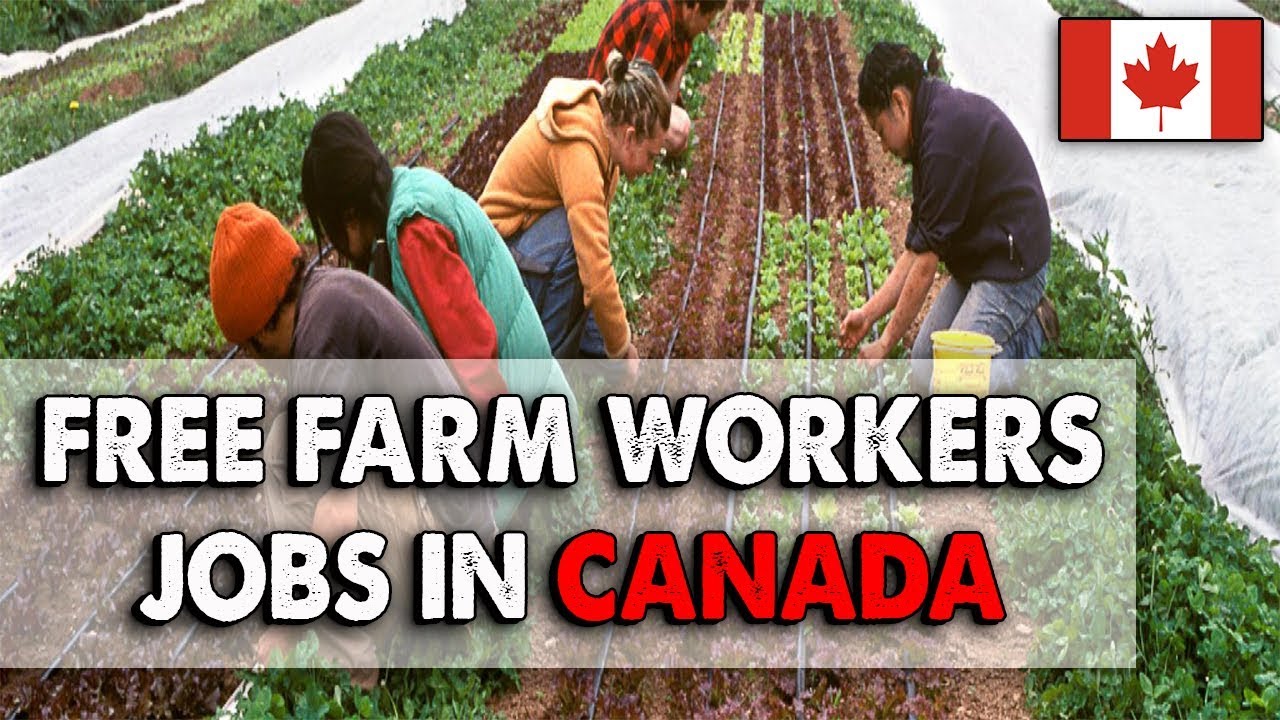 canada-farm-worker-jobs