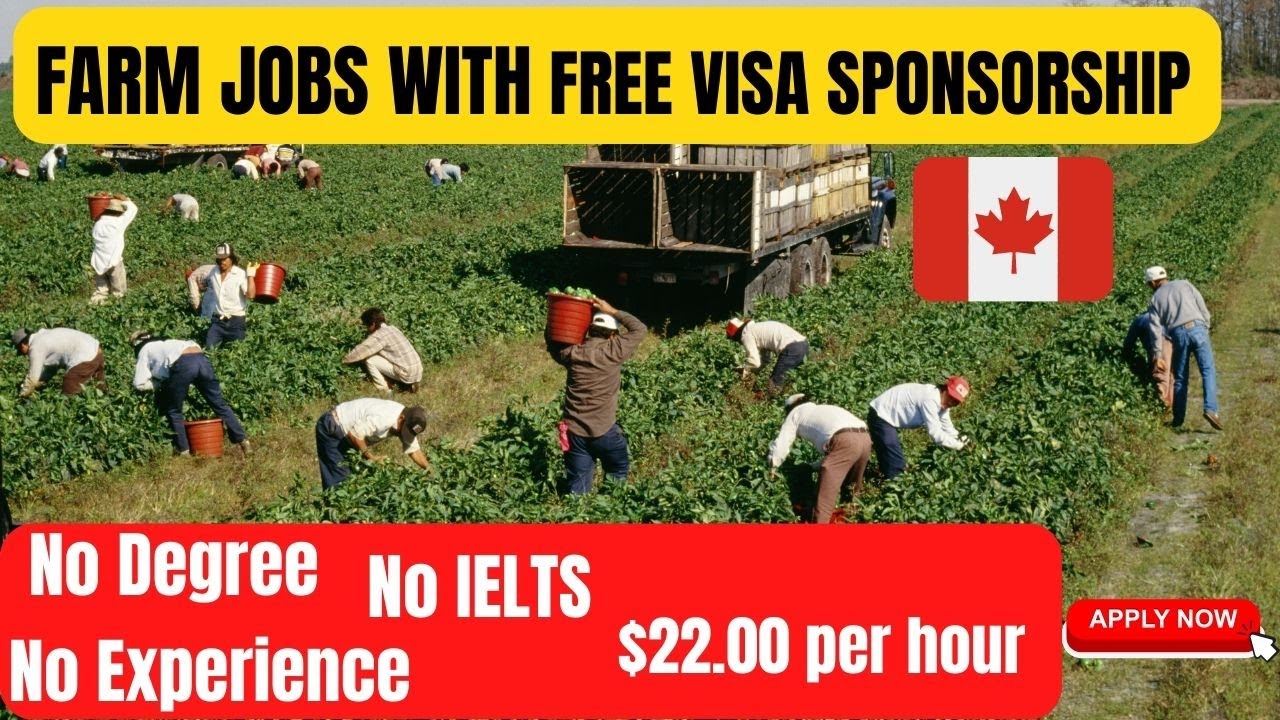Visa Sponsorship Farm Working Jobs in Canada Visa Sponsorship Farm Working Jobs in Canada