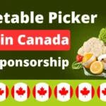 Vegetable Picker Jobs in Canada with Visa Sponsorship 2025 ($150,663 Per Year) Vegetable-Picker-Jobs-in-Canada-with-Visa-Sponsorship-August-2024-32663-Per-Year-1024×580